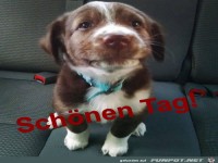 Schönen Tag