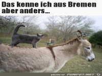 Die sahen fr�her aber anders aus