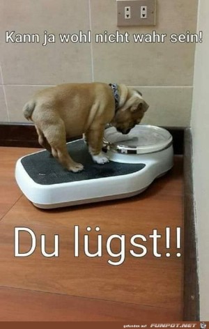 Die-Waage-lügt.jpg auf www.funpot.net