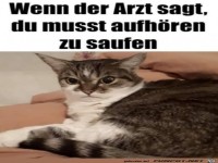 Kann nicht sein