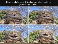 Das sch�nste L�cheln