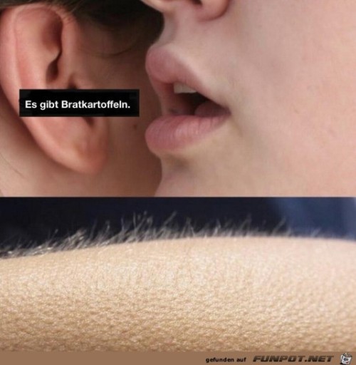 Gänsehaut-Moment.jpg auf www.funpot.net