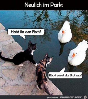Im-Park.jpg auf www.funpot.net