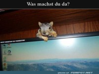 Was machst du?