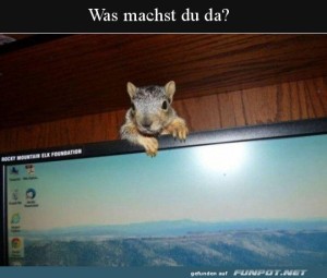 Begrüßungsbild