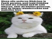Gelassene Katze mit Blumen