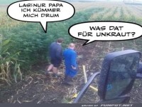 Humor auf dem Feld: Papa und Sohn im Gespr�ch