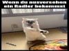 weiter