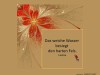 weiter