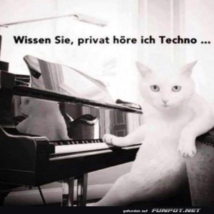 fun-Bild: Piano-Katze und ihr Techno-Geheimnis