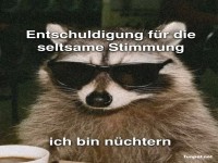 R�tselhafter Waschb�r: N�chternheit erkl�rt alles!