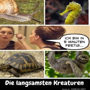 Die-wahren-Meister-der-Geduld.jpg von Louisa