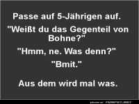 Junge Denker starten fr�h durch