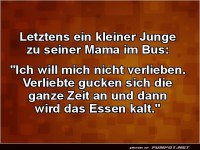 Kalte Liebe, heißer Tipp vom Junior