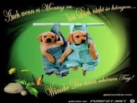 auch wenn es montag ist