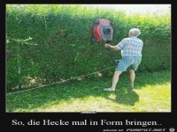 mal kurz die Hecke schneiden