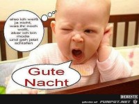 gute Nacht......