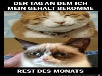Der Tag an dem....