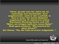 Hansi, gerade mal vier Jahre alt, ist unterwegs zum...