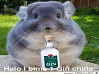 Gin Chilla