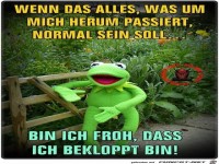 ich bin froh das ich bekloppt bin