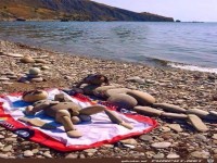 In diesen Tagen muss man selbst fr Gesellschaft sorgen