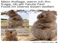 Mein fr�hlicher Kollege