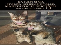 Katzen sind stolze Gesch�pfe