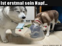 Napf f�r sich alleine