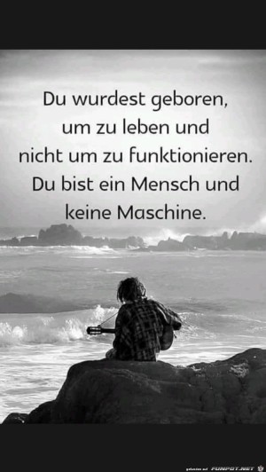 Du-wurdest-geboren.jpg auf www.funpot.net