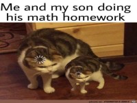 Bl�de Mathe-Hausaufgaben