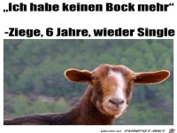 keinen Bock