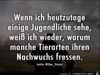 Nachwuchs