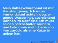 Genug Haustier