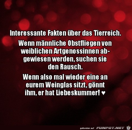 Sehr-interessant.jpg auf www.funpot.net