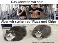 Das k�nnten wir sein