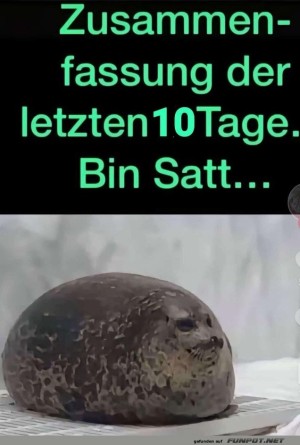 Bin-satt.jpg auf www.funpot.net