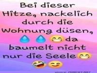 Sommerliche Hitze und Freigeist