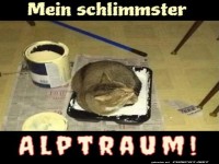 Wenn Katzen zu Pinsel werden!