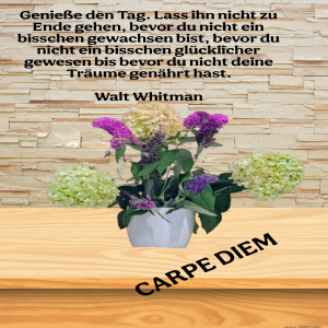 geniee-den-tag.-lass-ihn.png von Fabioma