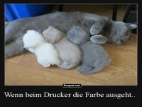 Katzenkopierer mit leerem Farbbeh�lter