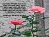 weiter