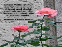 unser wille ist nur der wind