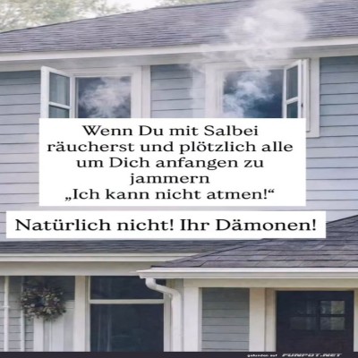 Salbei-Notfall:-Hausd&auml;monen-in-Panik!.jpg von Kurt1978