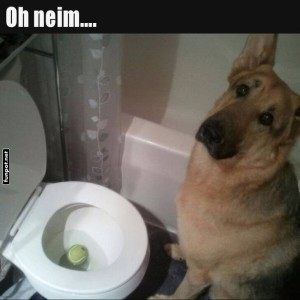 Der-Ball-und-das-stille-�rtchen.jpg von Queen92