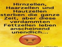 Der unsterbliche Fettzellen-Kreuzzug