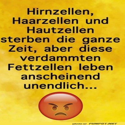 Der-unsterbliche-Fettzellen-Kreuzzug.jpg von Queen92