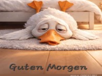 Enten-Morgenmuffel hat keinen Plan!