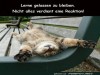 weiter