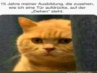 Wenn 15 Jahre Bildung beim T�r�ffnen scheitern